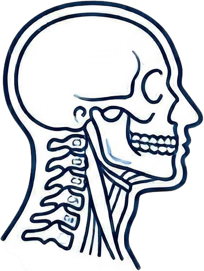 Unidad Cabeza y Cervical