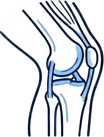 Unidad Rodilla